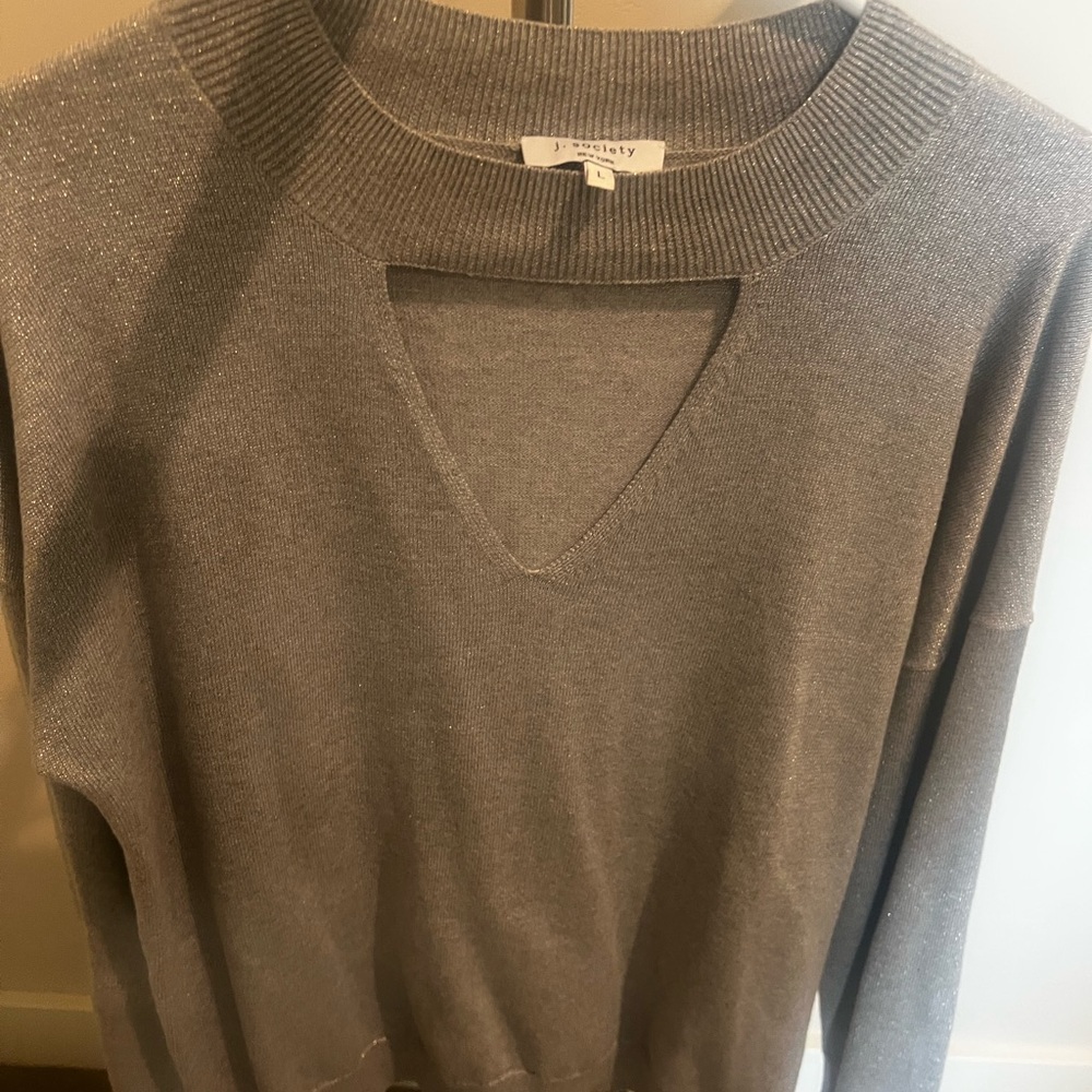 Society Shimmering Silver V-Neck Sweater